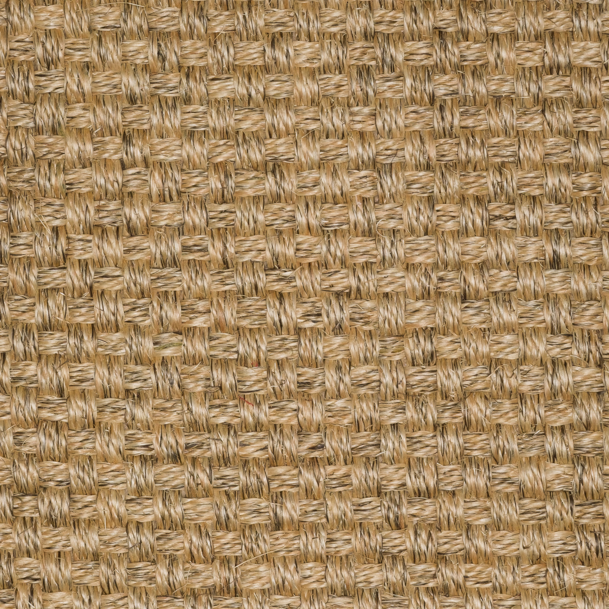 Sisal Natap Cuardo c693
