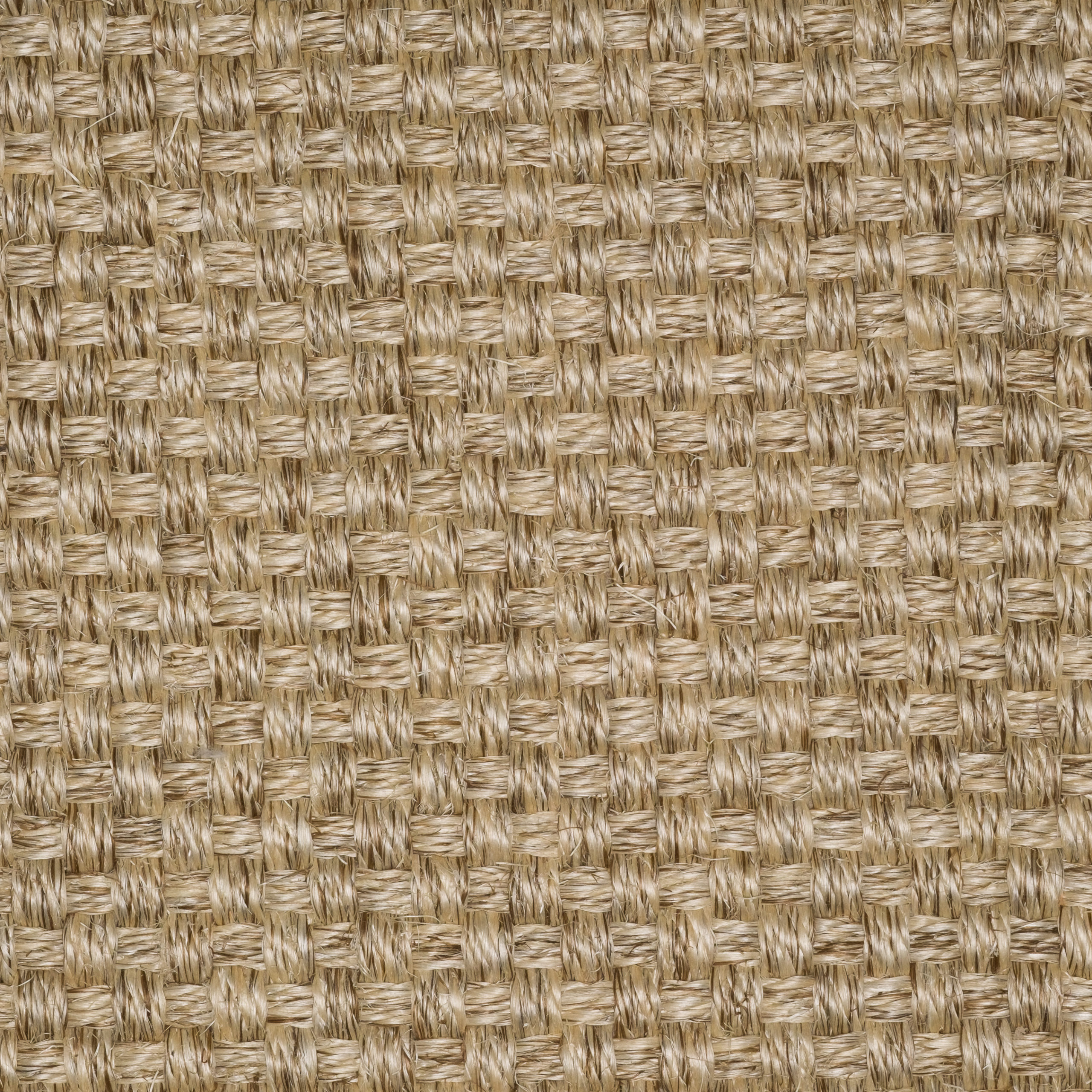Sisal Natap Cuardo c697