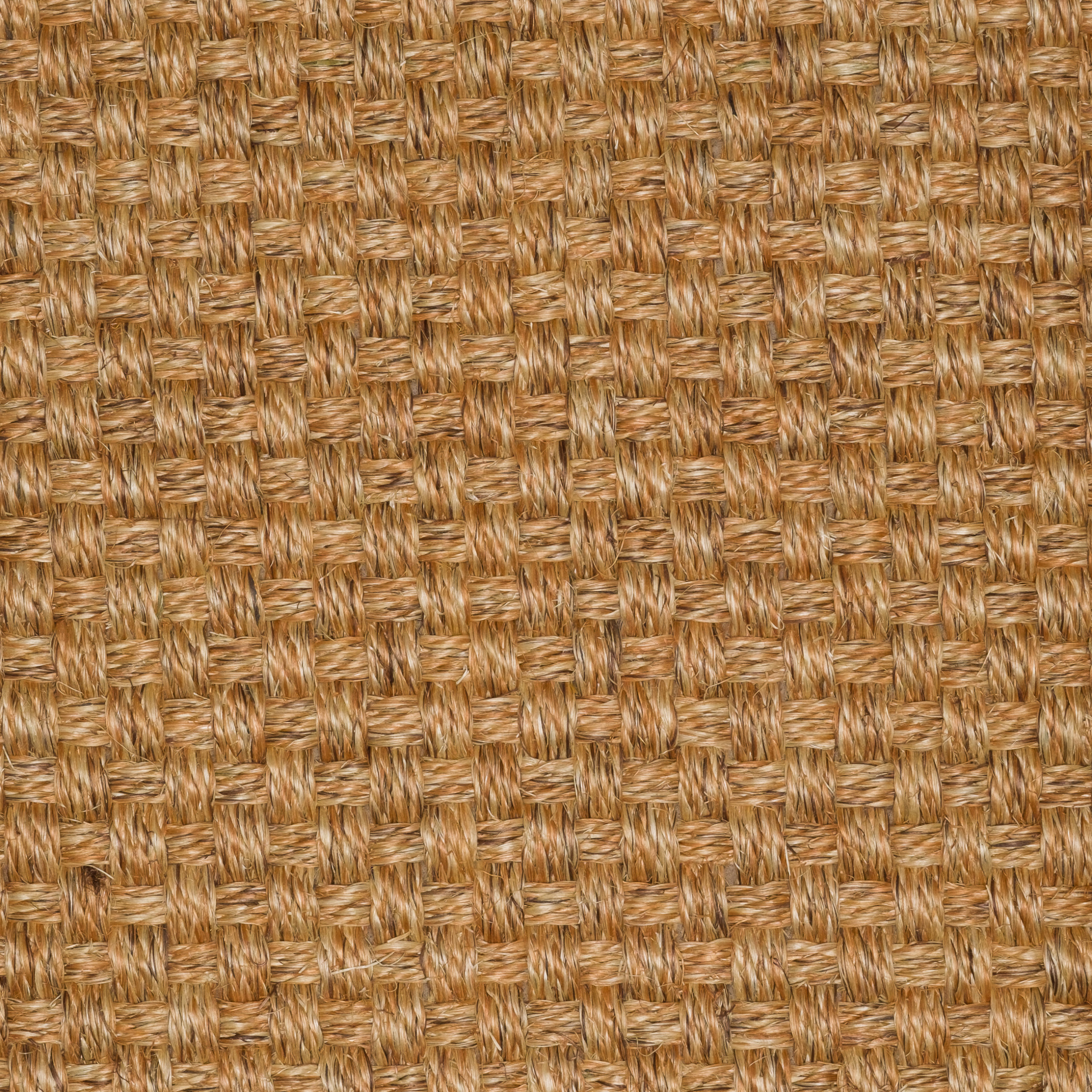 Sisal Natap Cuardo c698