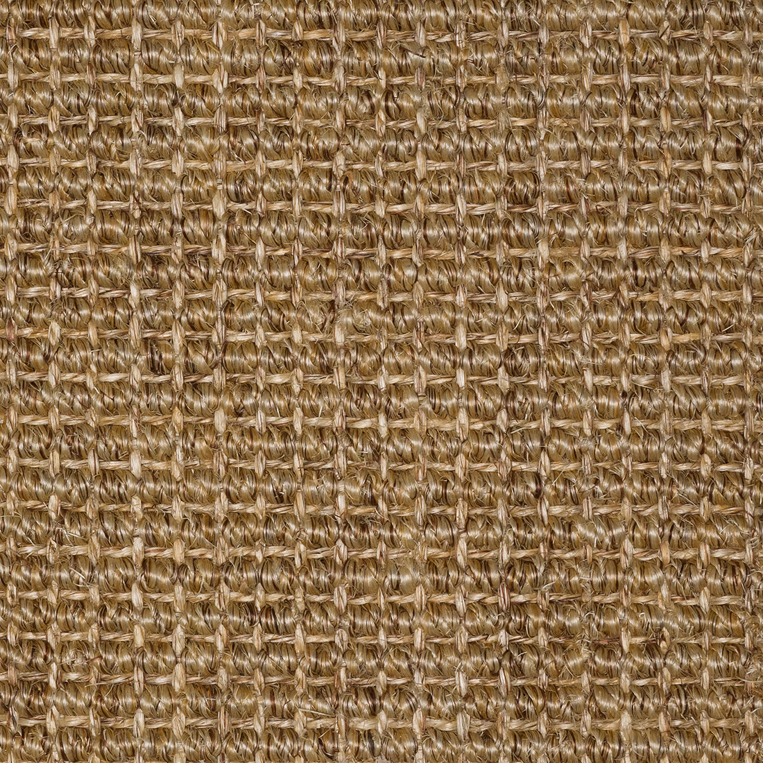 Sisal Natap Jakarta 2228