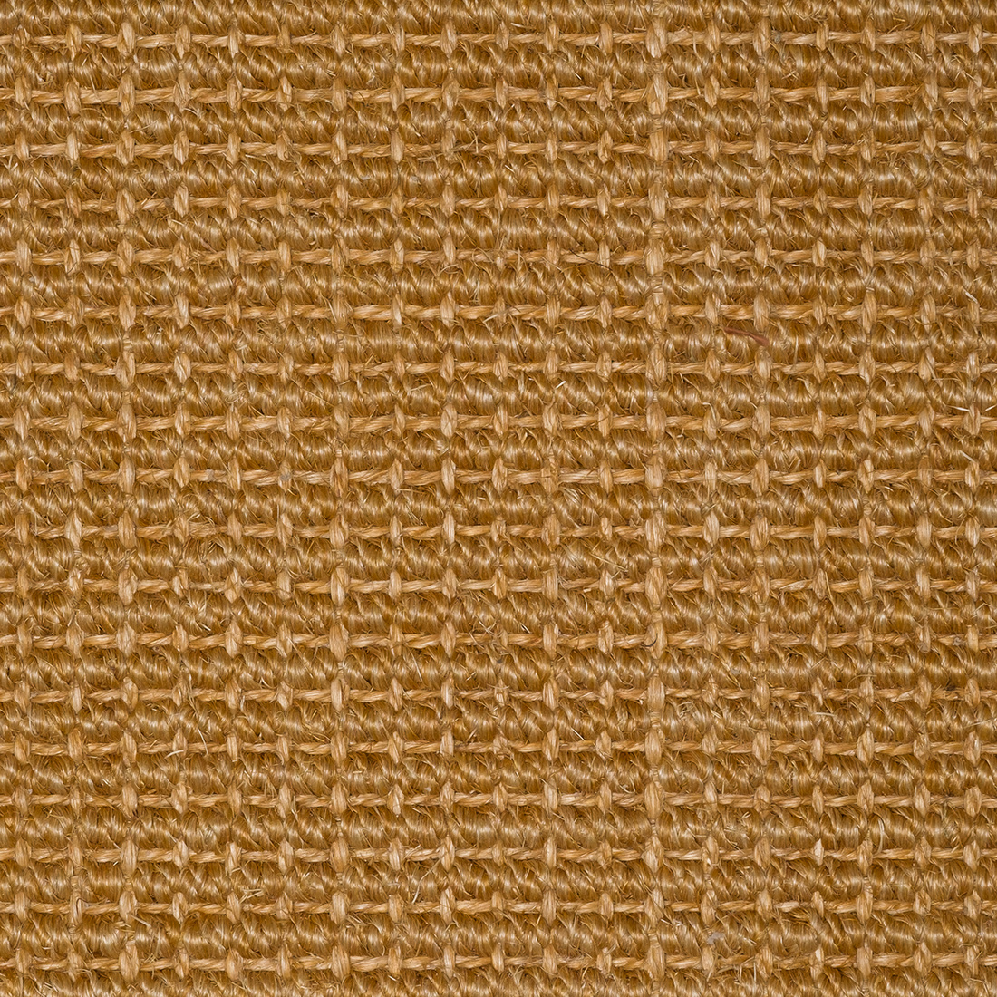 Sisal Natap Jakarta 2267