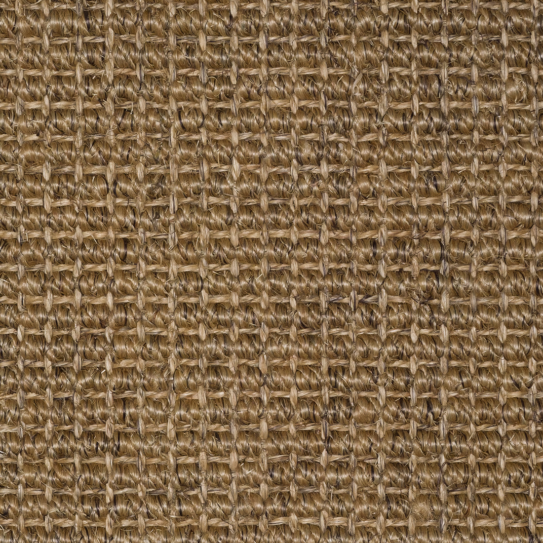 Sisal Natap Jakarta 2268