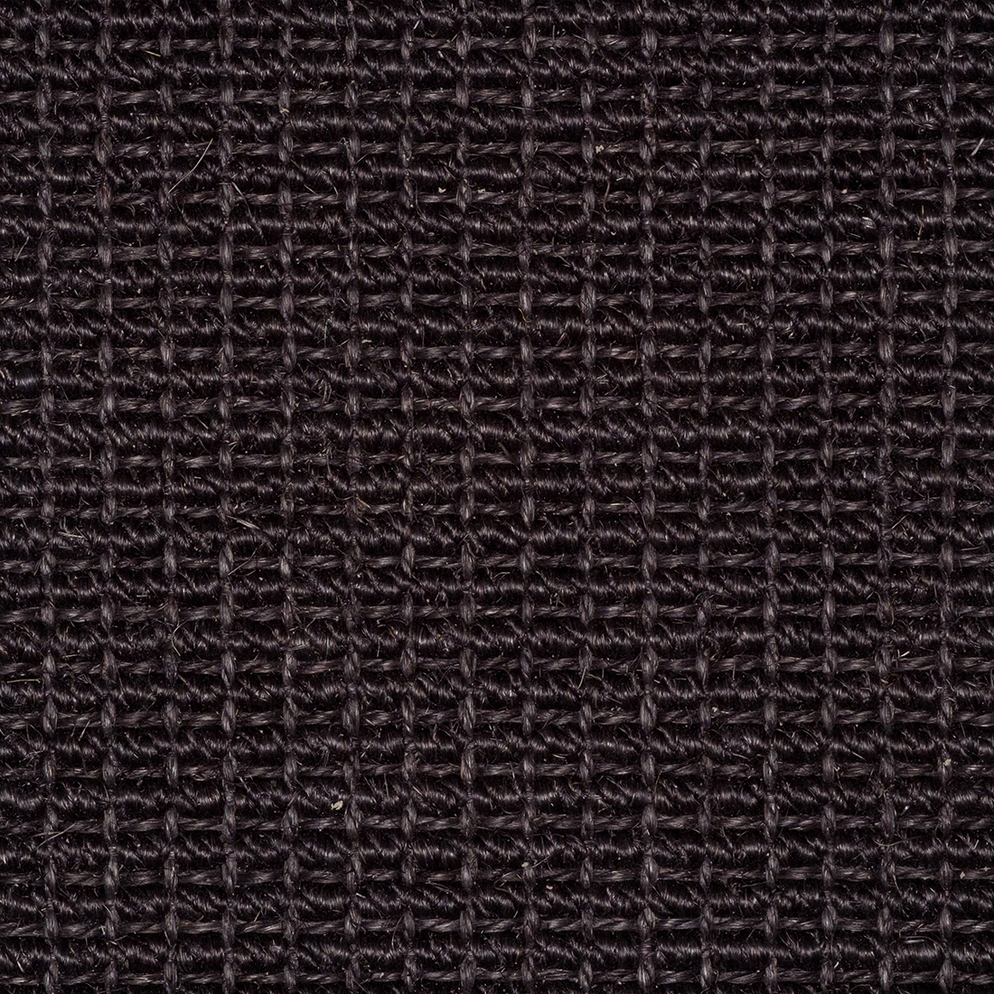 Sisal Natap Jakarta 2296