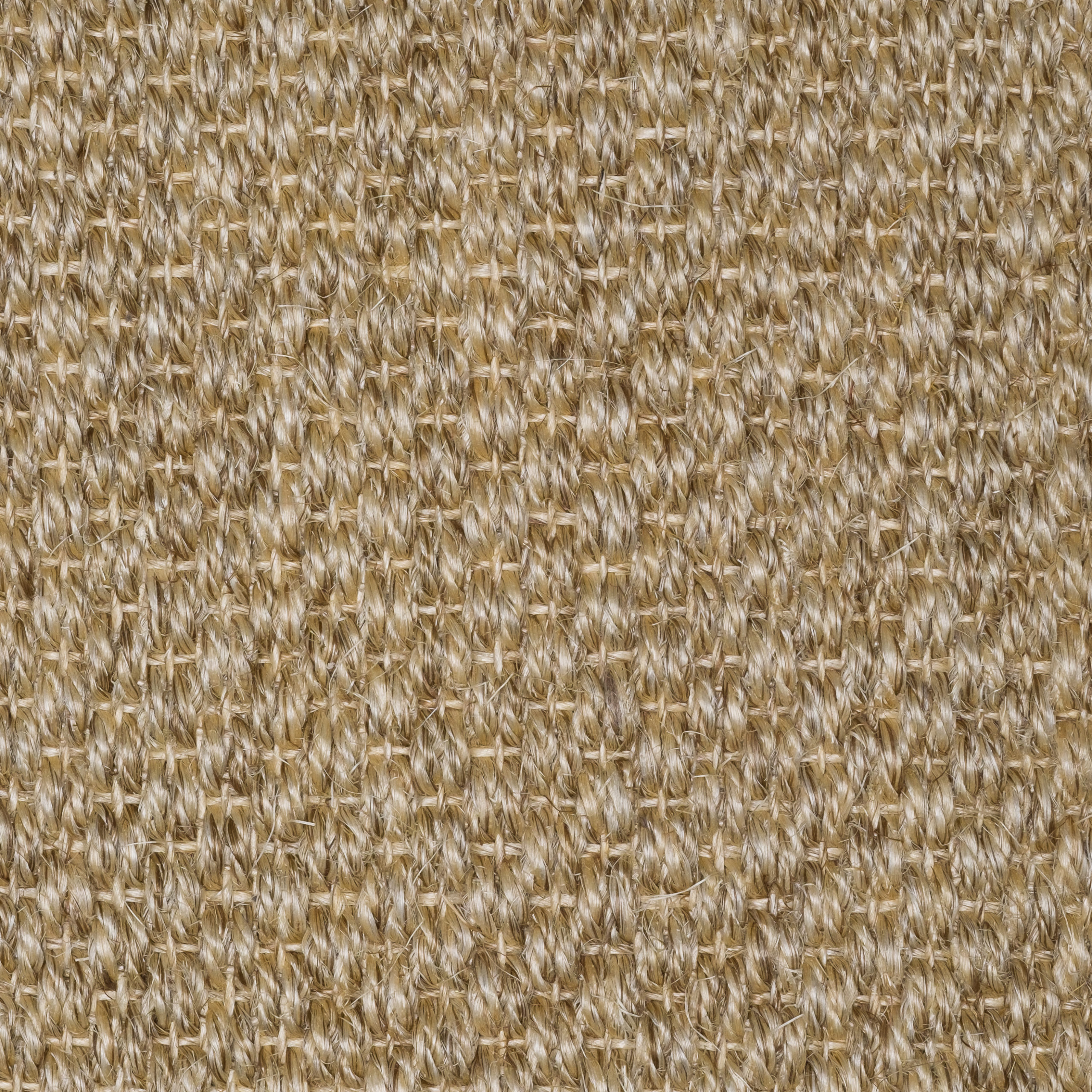 Sisal Natap Matamoros 8002