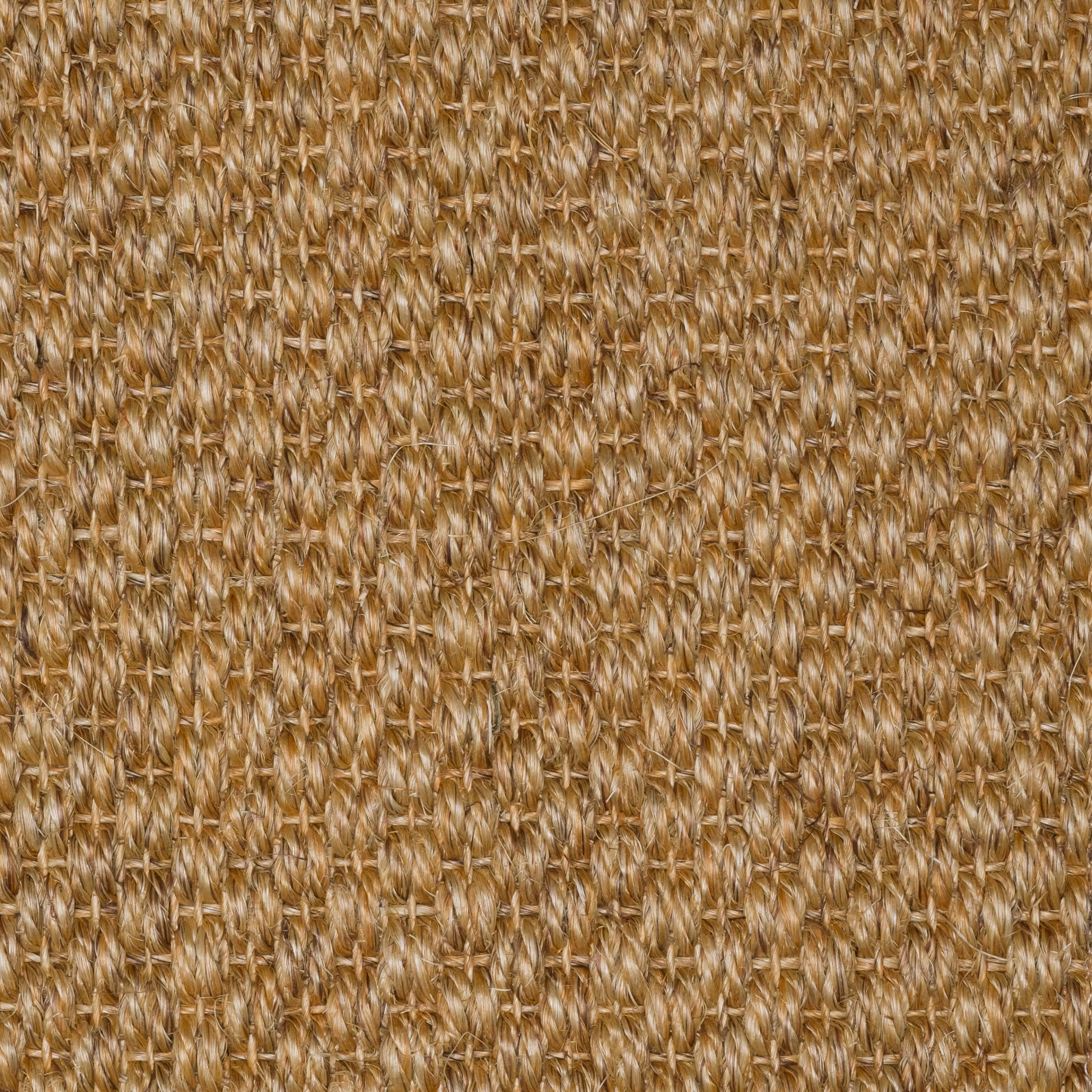 Sisal Natap Matamoros 8003