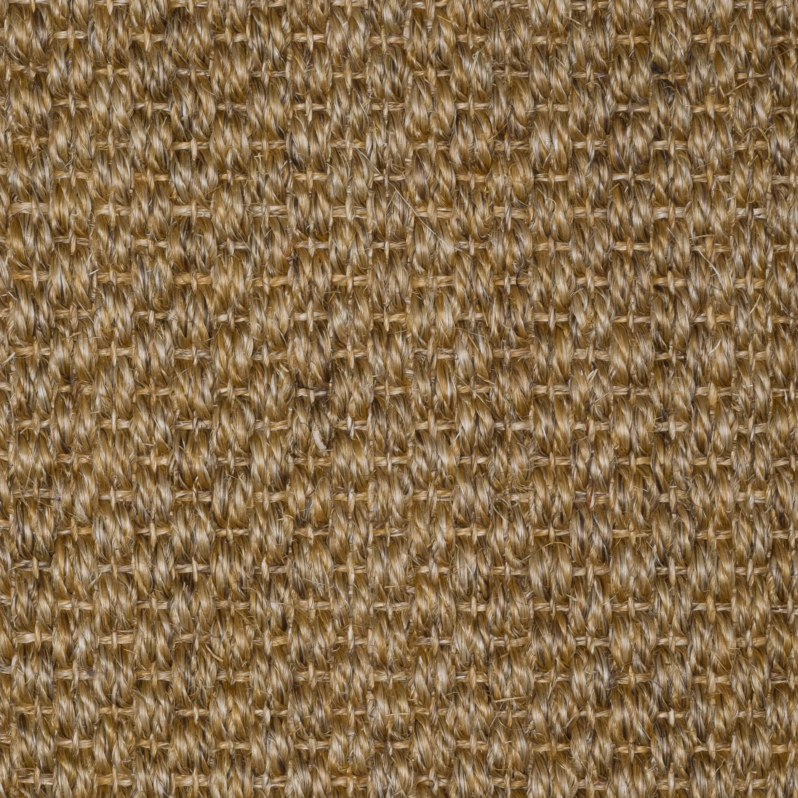 Sisal Natap Matamoros 8005