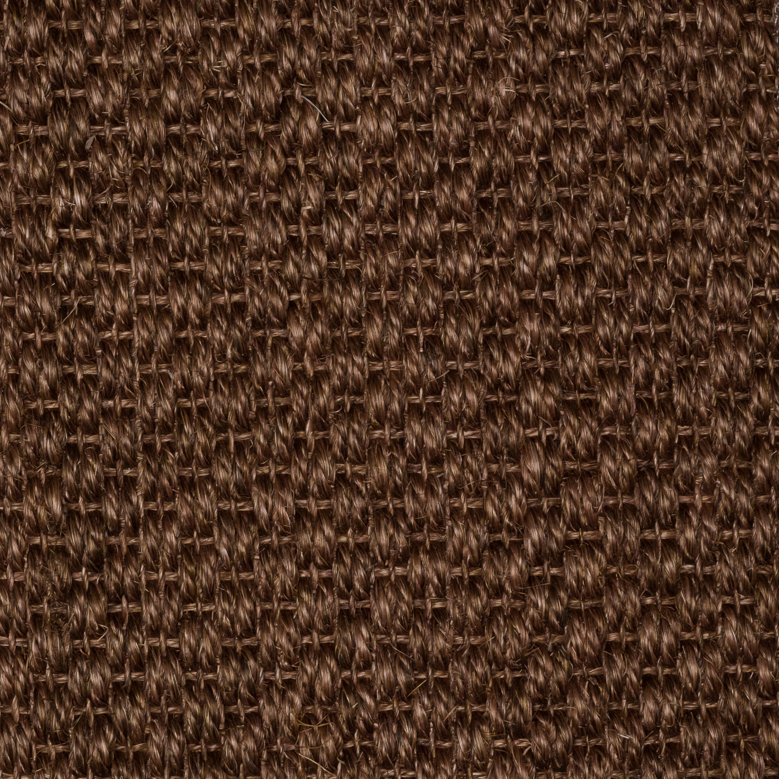 Sisal Natap Matamoros 8008