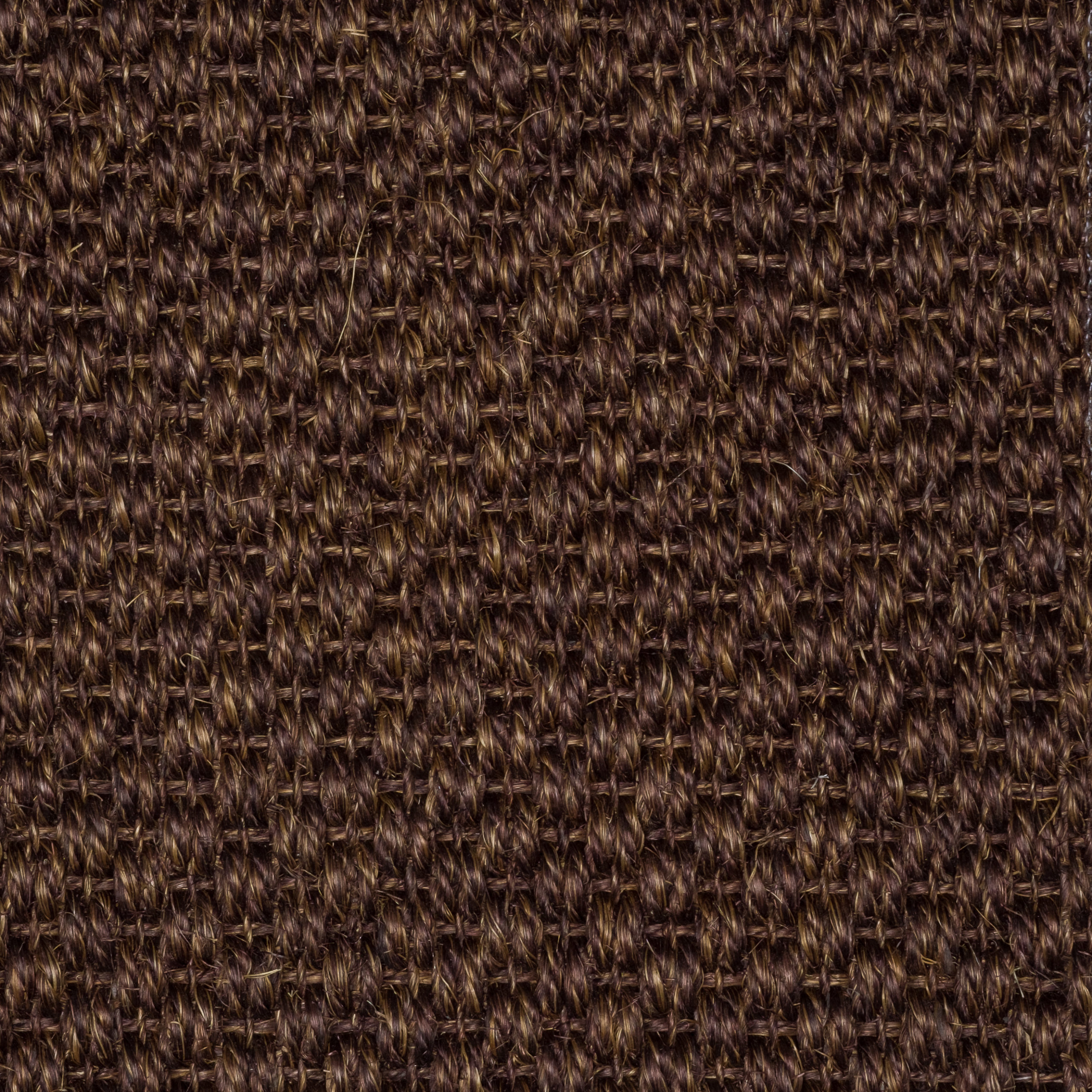 Sisal Natap Matamoros 8009