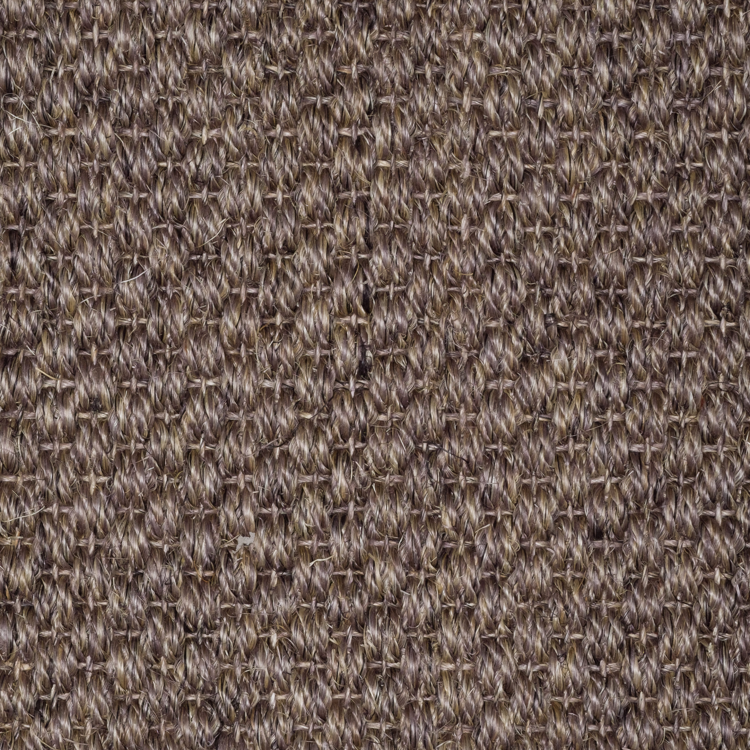 Sisal Natap Matamoros 8047